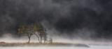 Mist on Llyn Dinas
