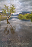 Llyn Padarn portrait and polariser