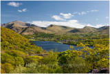 Llyn Padarn from the forest track