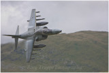 harrier 2 august 2008-web.jpg