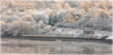 IMG_0112-web.jpg
