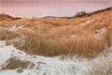 Snow on the dunes at Harlech