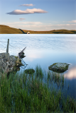 creg lake portraitb.png