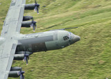 5D3_5513.jpg