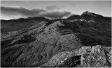 Snowdon from Moel Berfedd.