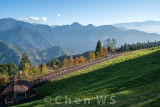 Cingjing Farm, Nantou county (altitude 2000m)