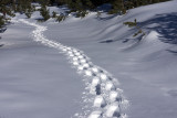 DSC02987-2.jpg