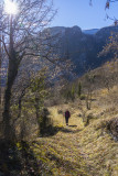 DSC02769.jpg