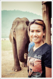 Noi and the Elephant