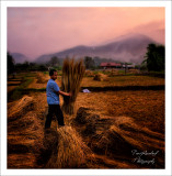 Welcome to Pai, Thailand