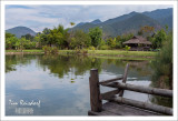Bueng Pai Farm ~ Thailand