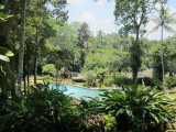 IMG_4231.jpeg
