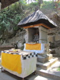IMG_4493.jpeg