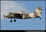hib_a356.jpg