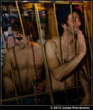 hibllwn2013_078.jpg