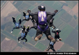 micro_2014007.jpg