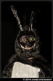 hibblween14_011.jpg