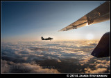 39way_001.jpg