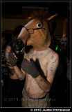 hibbleween_2015_074.jpg