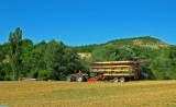 IMG_0889.JPG