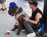 Toronto downtown: two guys...