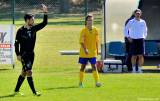 Soccer Referee in Action
