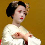 Today's Maiko Masaki