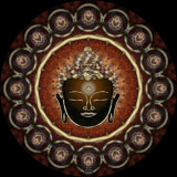 Buddhas Terra