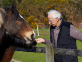 feeding the horses.jpg