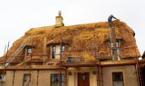 house being thatched.jpg