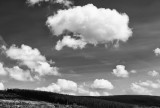 forest and clouds 2.jpg