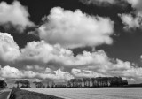 field and clouds 6.jpg
