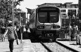 train by streetside.jpg