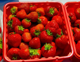 wexford starwberries 