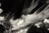 clouds 4.jpg