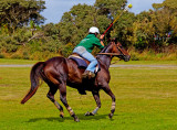 polo practise 2.jpg