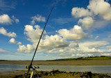 fishing rod.jpg