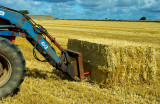 lifting a bale.jpg