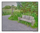A Seat In The Country