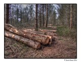 Logging Off