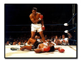 Muhammad Ali  (1942 - 2016)