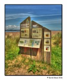 Tentsmuir Point
