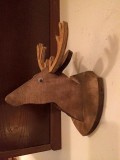 deer-mount