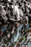20120123-_DSC9335-Edit-4.jpg