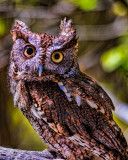 20140427-_DSC1677-Edit.jpg