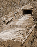 Old Tech2_126_C.jpg