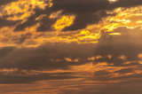_DSC8366.jpg