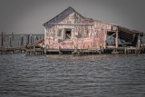 20130905-_DSC9138-Edit-Edit.jpg