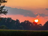 _DSC0881.jpg
