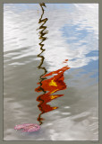 57 Vietnamese flag reflected in Hue imperial city